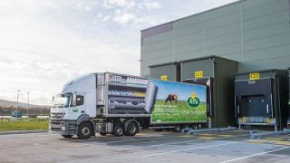 Arla holds milk price for August supplies