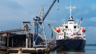 Bord Bia reports mixed trade across key beef export markets