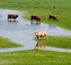 England now drought-free but increased risk of flooding in areas - EA