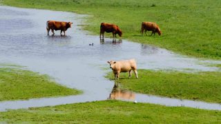 Support announced for farmers impacted by recent flooding