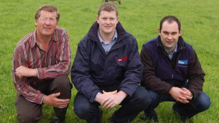 Forward thinking pays off for Co Kilkenny sheep farmer