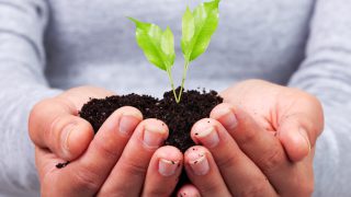 Productivity of food sector needs to be repeated at primary level