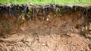 EU Commission drop Framework Directive on Soil