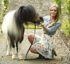 Flavours of Fingal this weekend