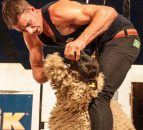 Ivan Scott shears a world record breaking 867 lambs in 9 hours!