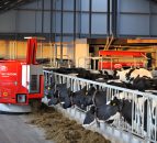 UK dairy farmers feeling confident and investing