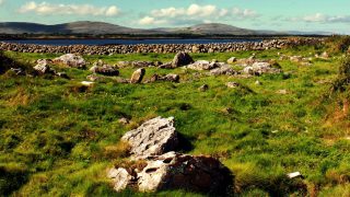 33,000 farmers lose out on €10 million over ineligible land