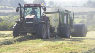 Cut silage yields super, but quality dropping