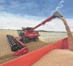 Good EU-28 cereal yields predicted
