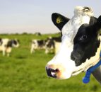 New study finds Moomonitor is best in class 