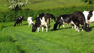 It’s time to get tough with rogue farmers