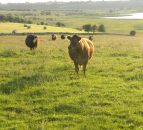 €4 billion rural development fund outlined 