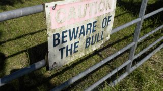Cork farmers account for 13% of Farm Safety Scheme applications