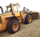Wholecrop ready to harvest