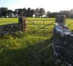 Efficient lamb production: 'Closing the gate could make you money'