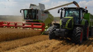 UK wheat harvest underway