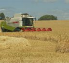 Above average EU cereal harvest on the cards