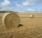 'EU agriculture will struggle to grow'