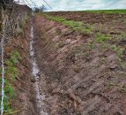 Farm Improvement Scheme will be crucial to Northern farmers - UFU