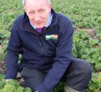 Costs and younger people see potato sales decline 