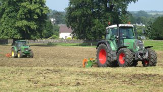 Solutions to leatherjacket and frit–fly in new grass reseeds