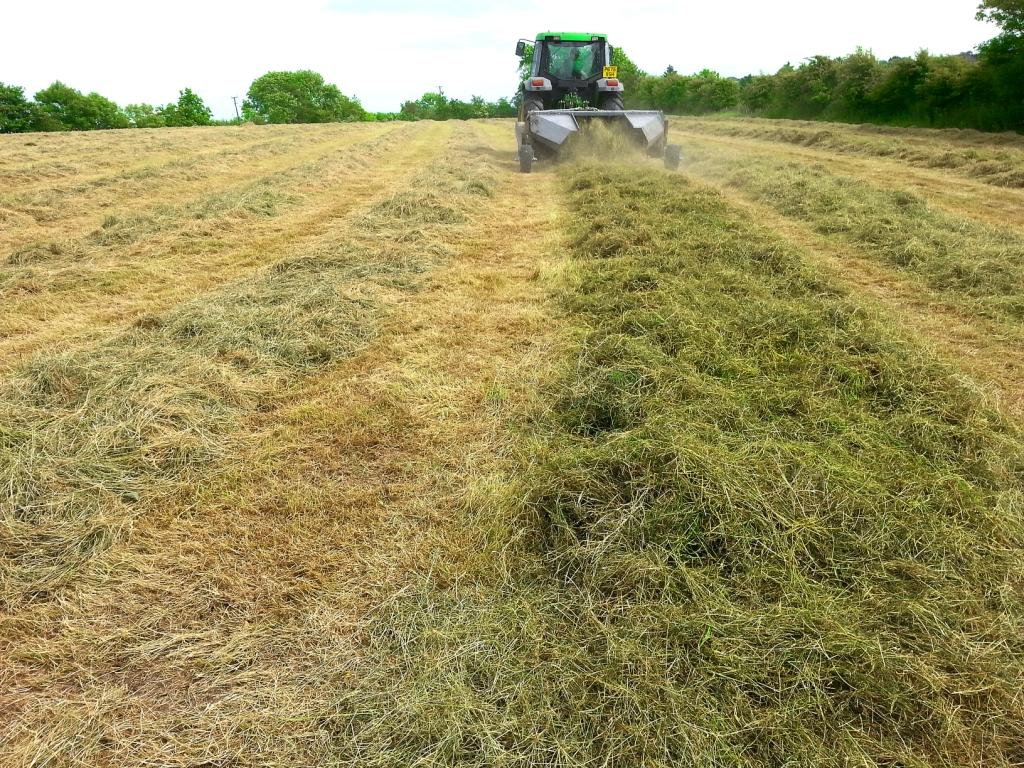 sward rebuild-email (3)