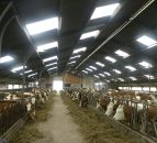 Swiss experience a cautionary tale on quota abolition