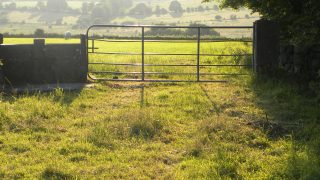 New study finds public farm visits having a positive effect
