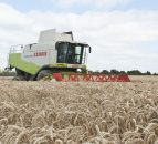 Global warming to threaten international tillage prospects