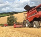 All you need to know about the global harvest