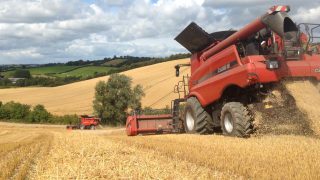 All you need to know about the global harvest