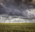 New Zealand finance minister says 'corporate farming' won't survive
