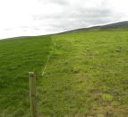 Avoiding early grass deficits this autumn 