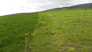 Avoiding early grass deficits this autumn