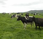 Almost all Europeans say protecting the environment is important to them