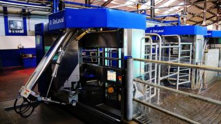 DeLaval showcase milking, cooling and feeding at Ploughing