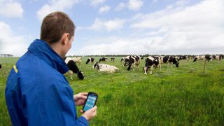 Dairymaster Moo-ve for greater profitability on dairy farms