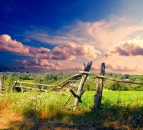 Calls for a move away from intensive farming model