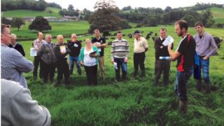 Ballyhaise 120-cow herd expects 2014 milk sales of €230,000