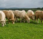 Factories say negotiation strategy 'vindicated'