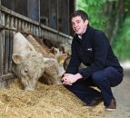 Getting purchased cattle off to the best possible start