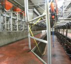 UK processor cuts December milk price to 24p/L