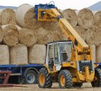 Straw price on the increase as 'high demand' drives the trade
