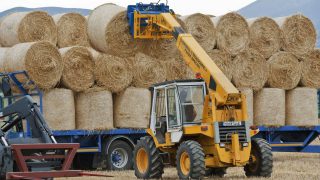 Straw price on the increase as ‘high demand’ drives the trade