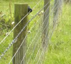Sheep farmers still waiting on the approval of fencing for grant aid