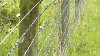 Sheep farmers still waiting on the approval of fencing for grant aid