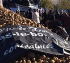 French farmers spread manure on the streets during protest