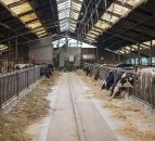 Dairy market worsening 'dramatically' across Europe – European Milk Board