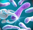 Antibiotic resistance can occur naturally in soil bacteria