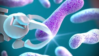 Antibiotic resistance can occur naturally in soil bacteria
